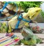 KITTY - Reptile Lizard Harness Leash Adjustable Orange